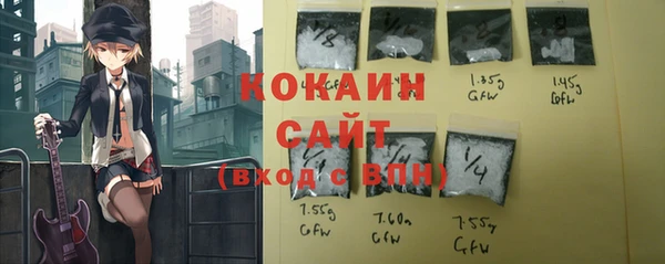 гашик Балахна