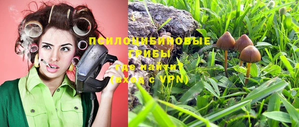 спайс Балабаново
